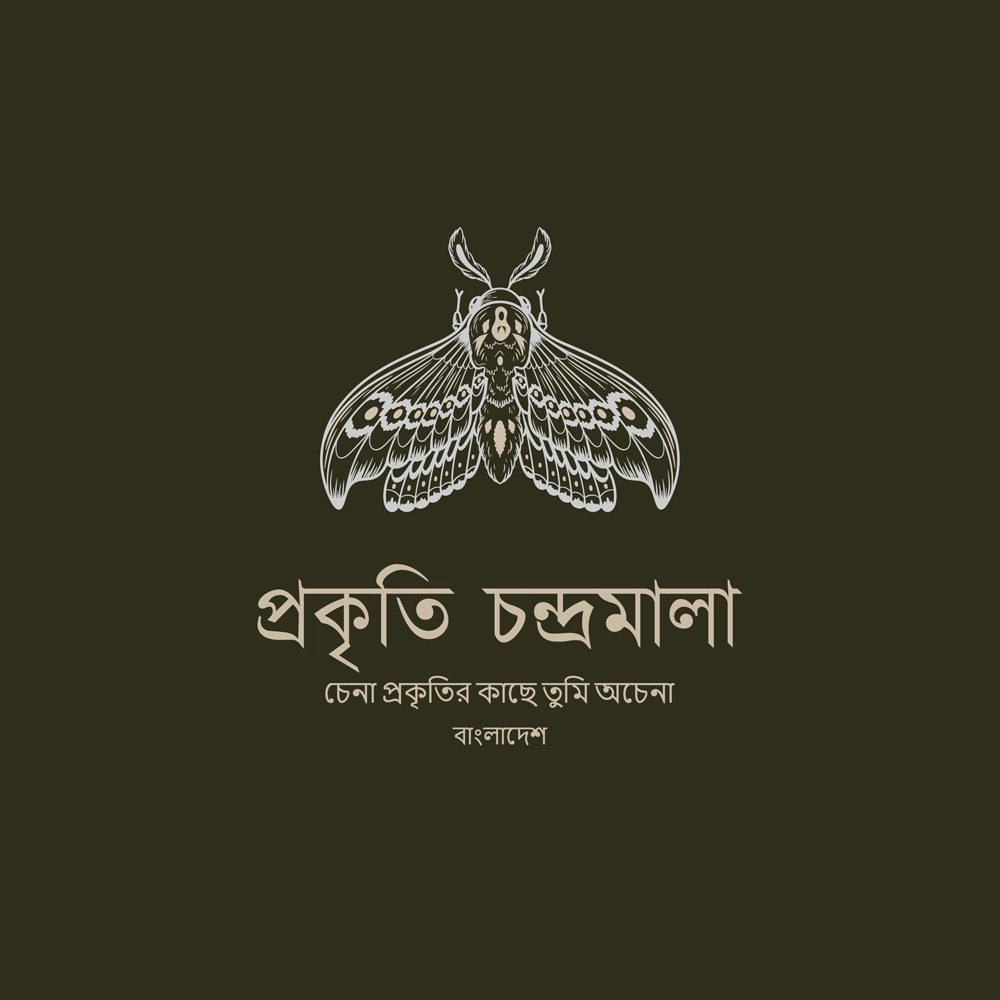 Bengali Logo Design Service