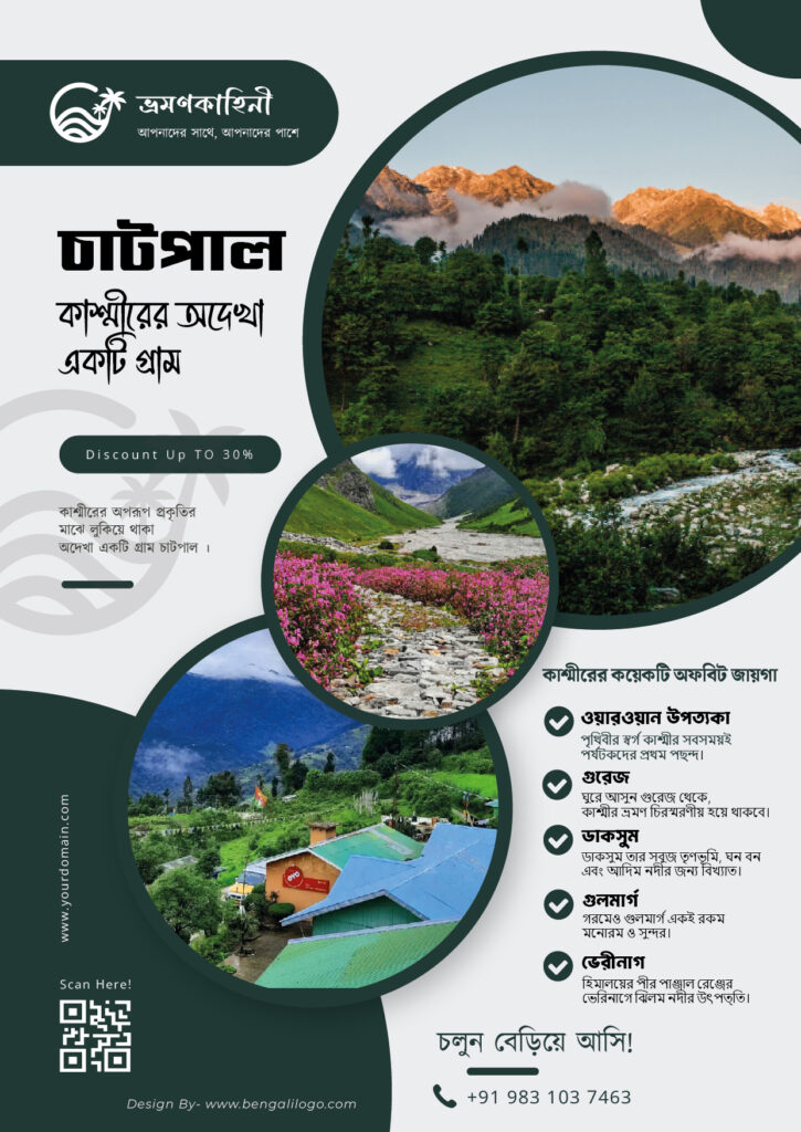 Bengali Travel Flyer Design Service